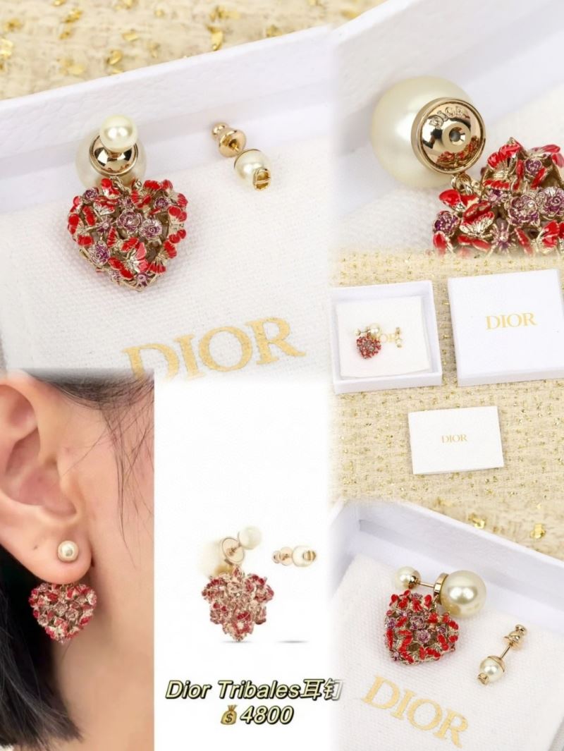 Christian Dior Earrings